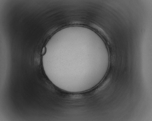 X0000100940833200807151304