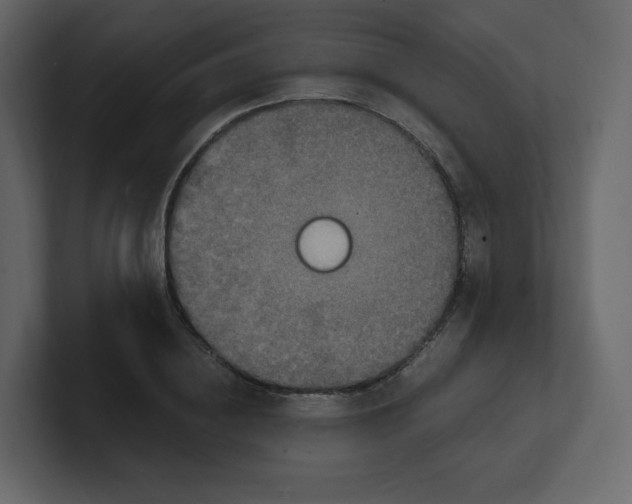 X0000100940836200807151304