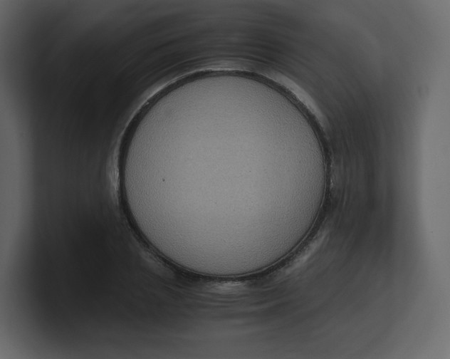 X0000100940837200807151304