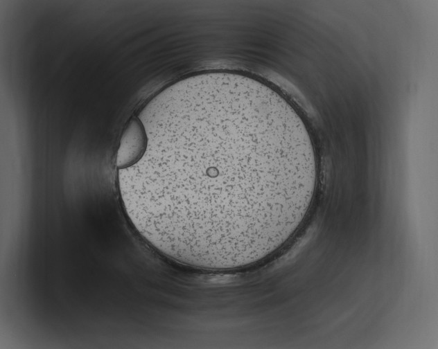 X0000100940841200807151304