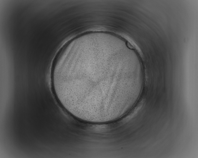 X0000100940845200807151304