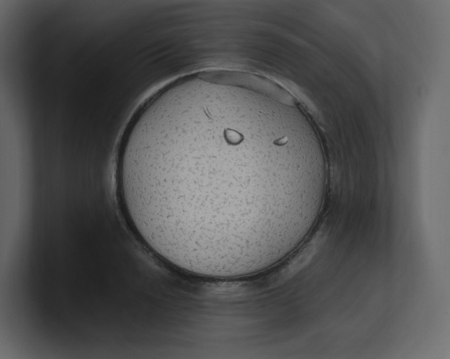 X0000100940846200807151304