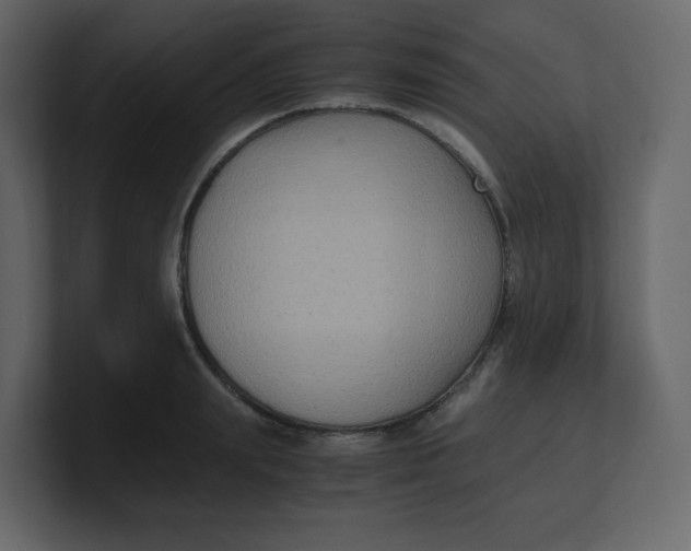 X0000100940847200807151304