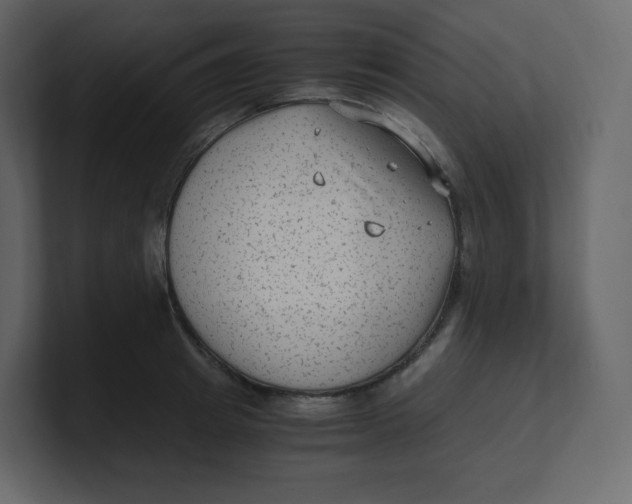 X0000100940849200807151304