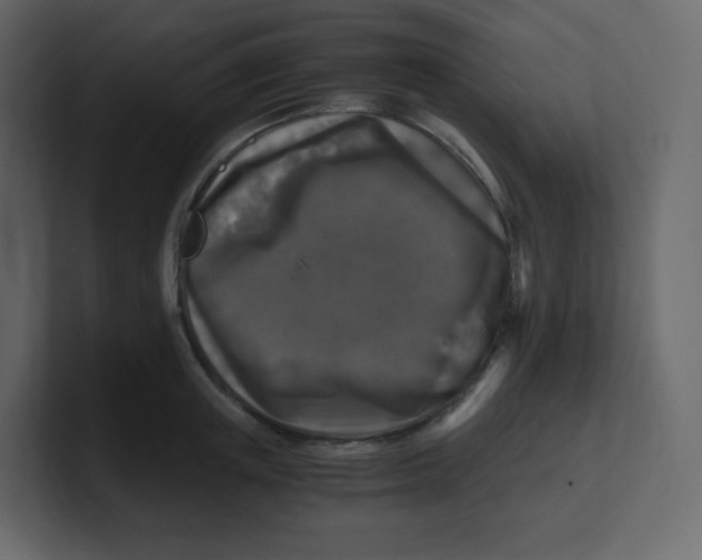 X0000100940851200807151304