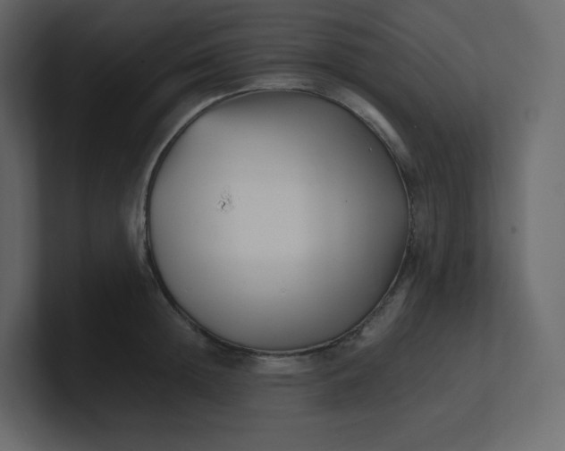 X0000100940852200807151304