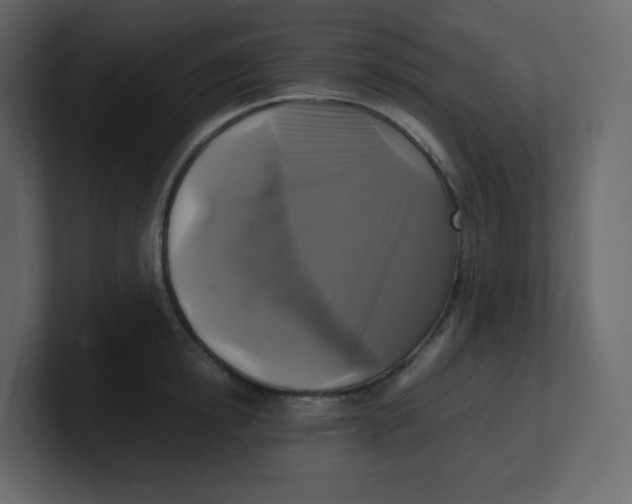 X0000100940854200807151304