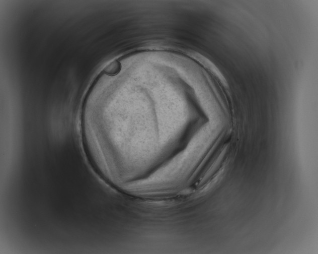 X0000100940855200807151304