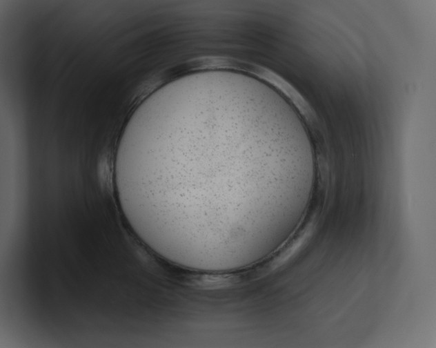 X0000100940857200807151304