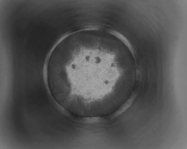 X0000100940859200807151304