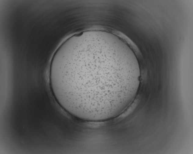 X0000100940860200807151304