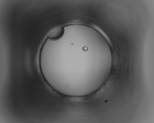 X0000100940861200807151304