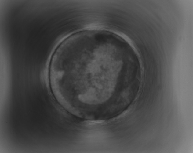 X0000100940864200807151304