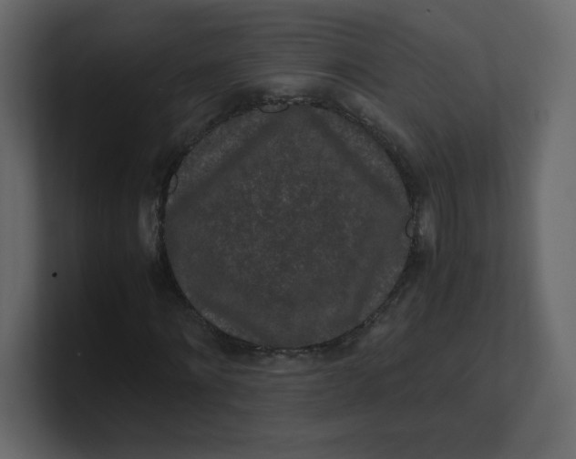 X0000100940868200807151304