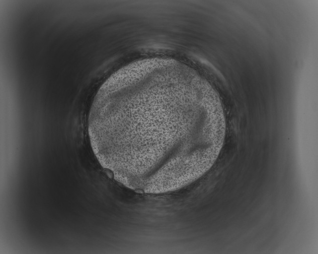 X0000100940870200807151304