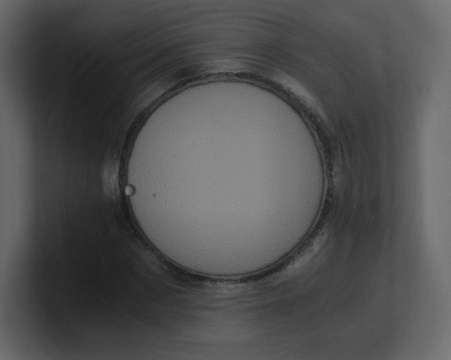 X0000100940873200807151304