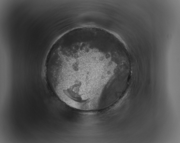 X0000100940879200807151304