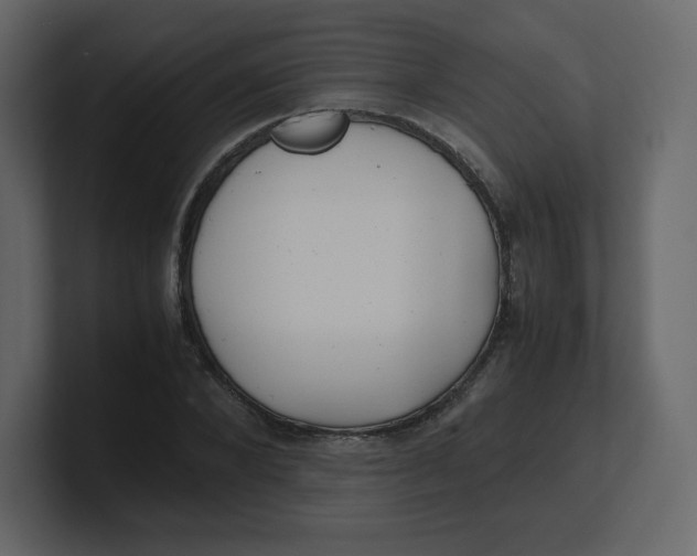 X0000100940880200807151304