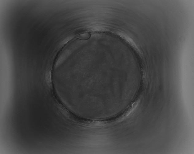 X0000100940881200807151304