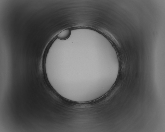 X0000100940884200807151304