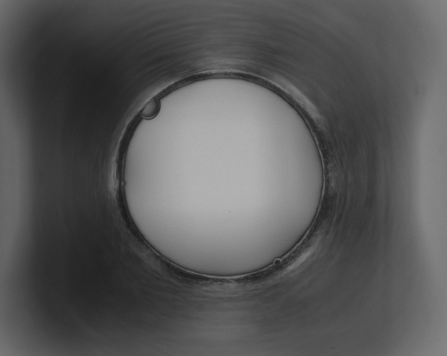 X0000100940885200807151304