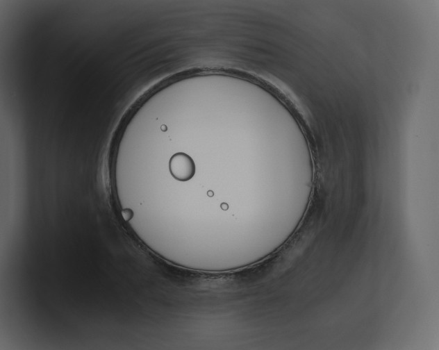 X0000100940887200807151303