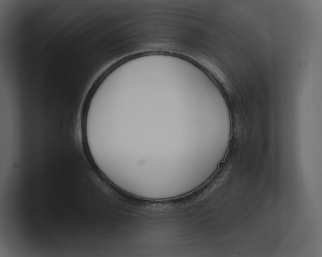 X0000100940888200807151303