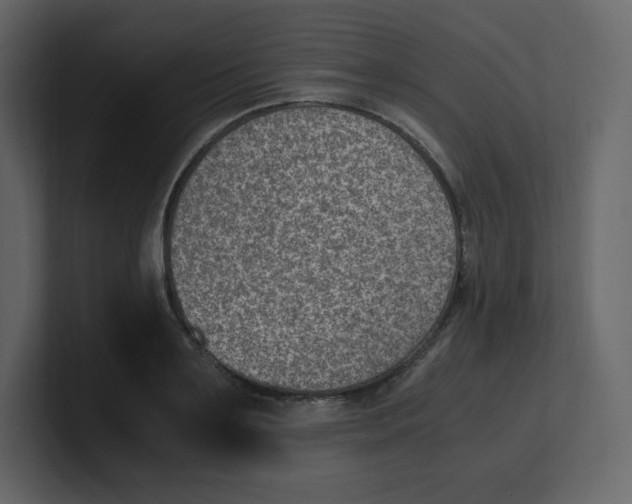 X0000100940891200807151303