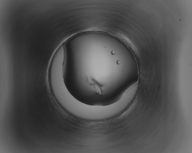 X0000100940892200807151303