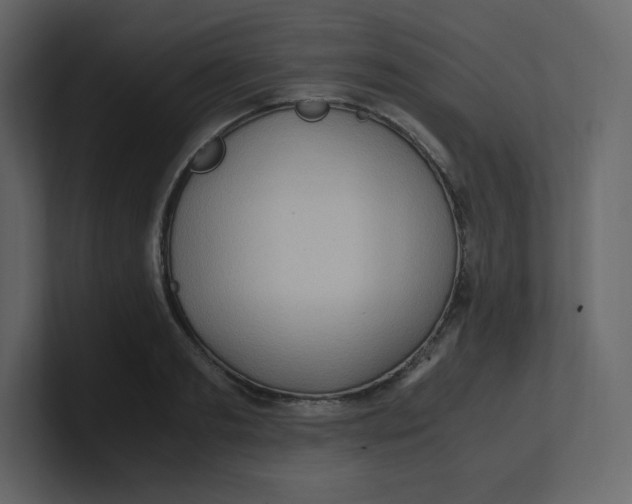 X0000100940893200807151303