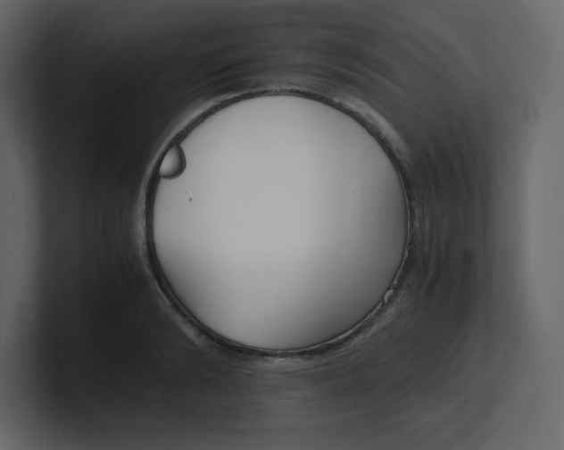 X0000100940894200807151303