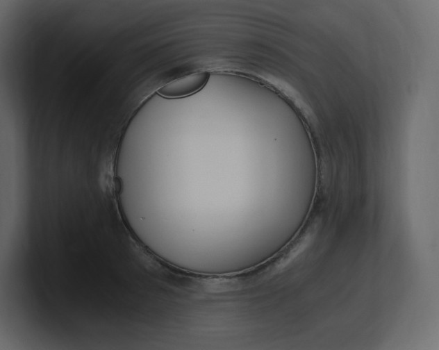 X0000100940897200807151303