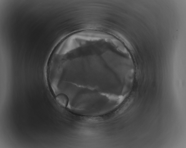 X0000100940899200807151303