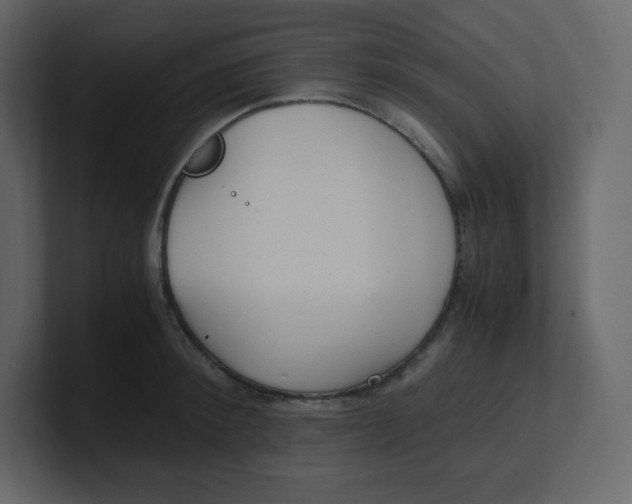 X0000100940900200807151303