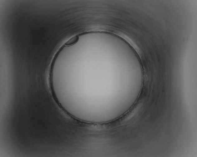 X0000100940901200807151303