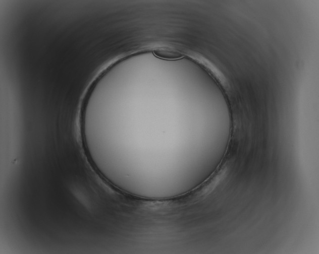 X0000100940902200807151303