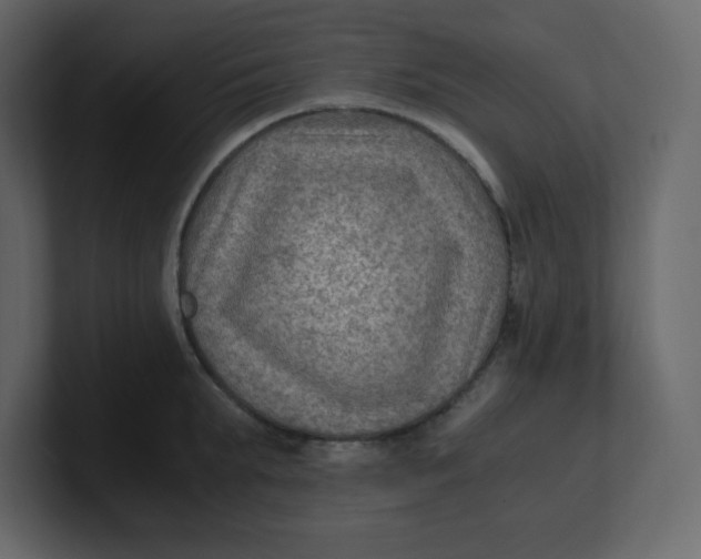 X0000100940903200807151303