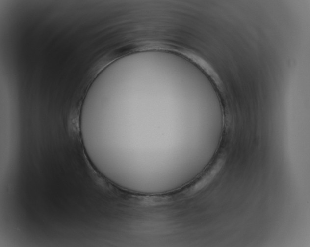 X0000100940905200807151303