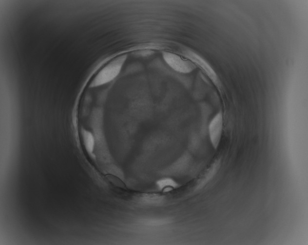 X0000100940907200807151303