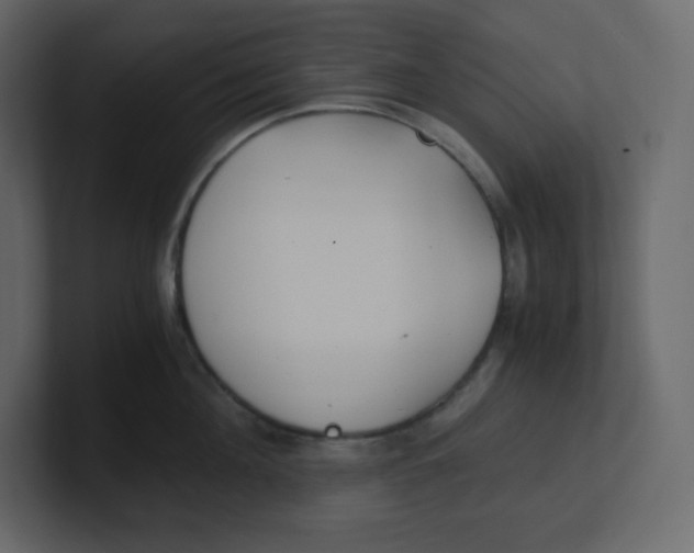 X0000100940908200807151303