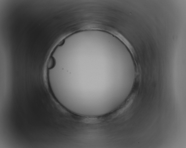 X0000100940909200807151303