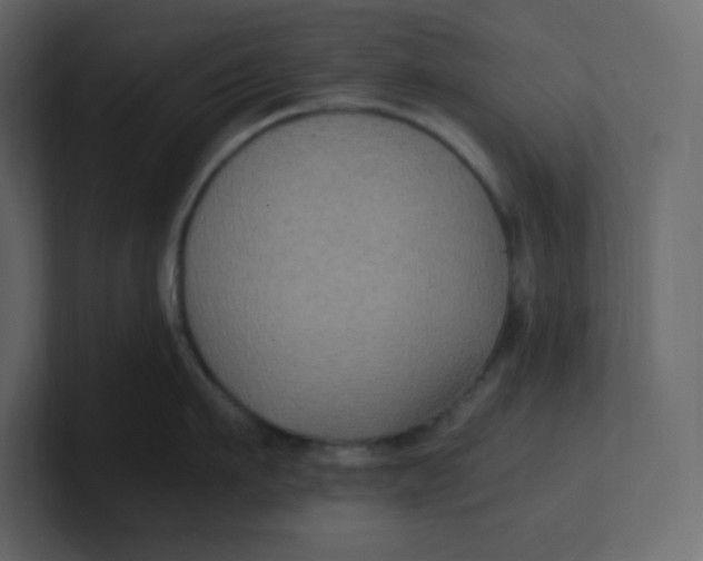 X0000100940911200807151303