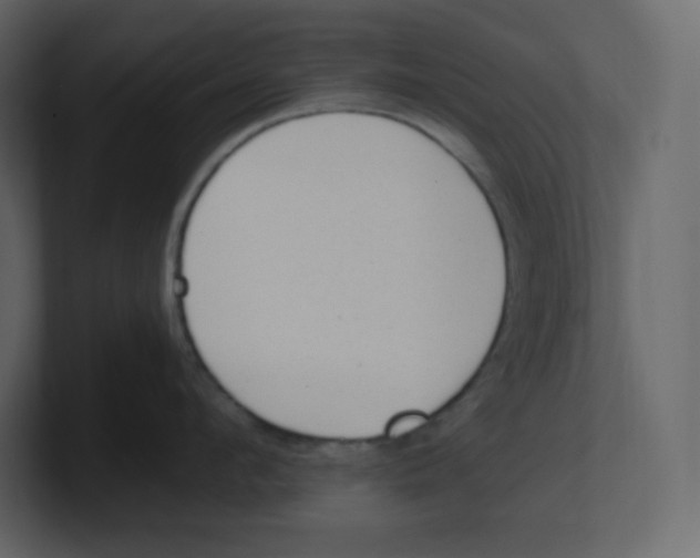 X0000100940912200807151303