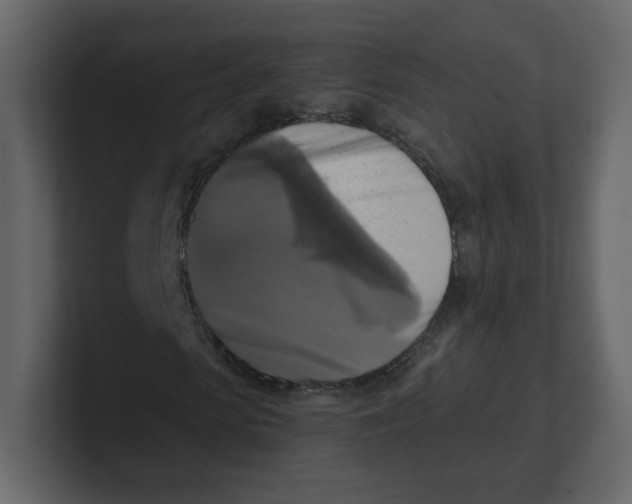 X0000100940913200807151302