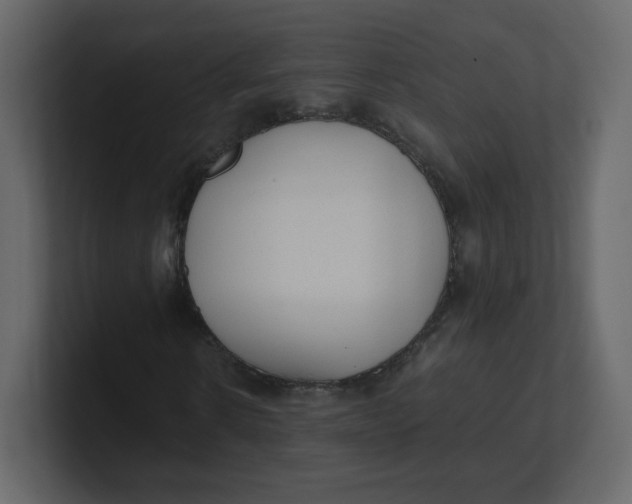 X0000100940914200807151302