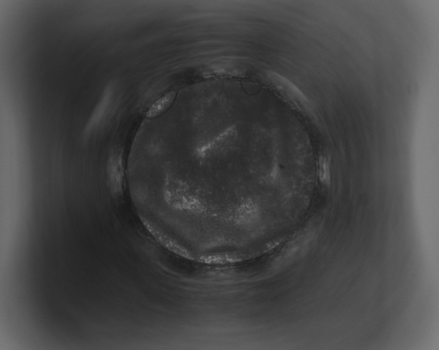 X0000100940915200807151302