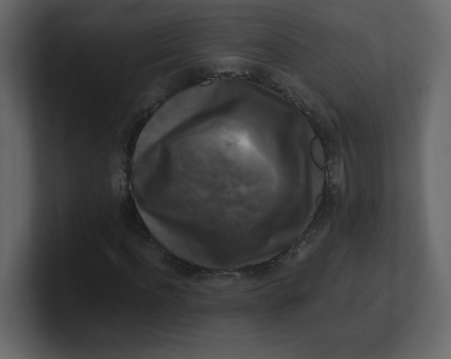 X0000100940916200807151302