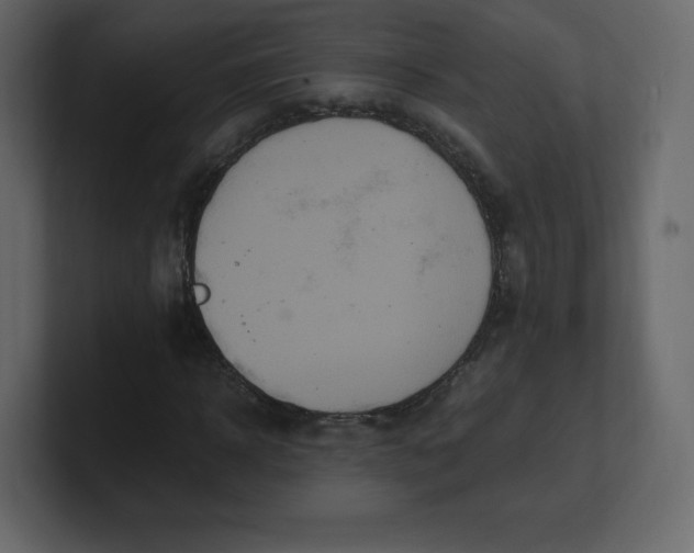 X0000100940918200807151302