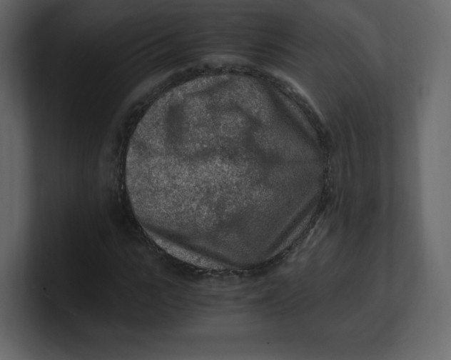 X0000100940919200807151303