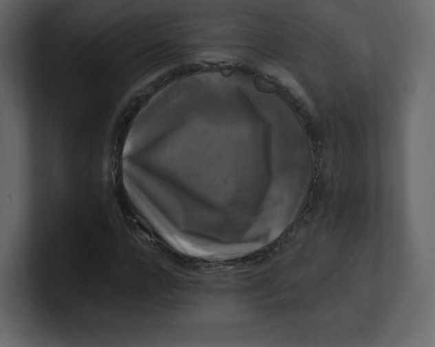 X0000100940920200807151303